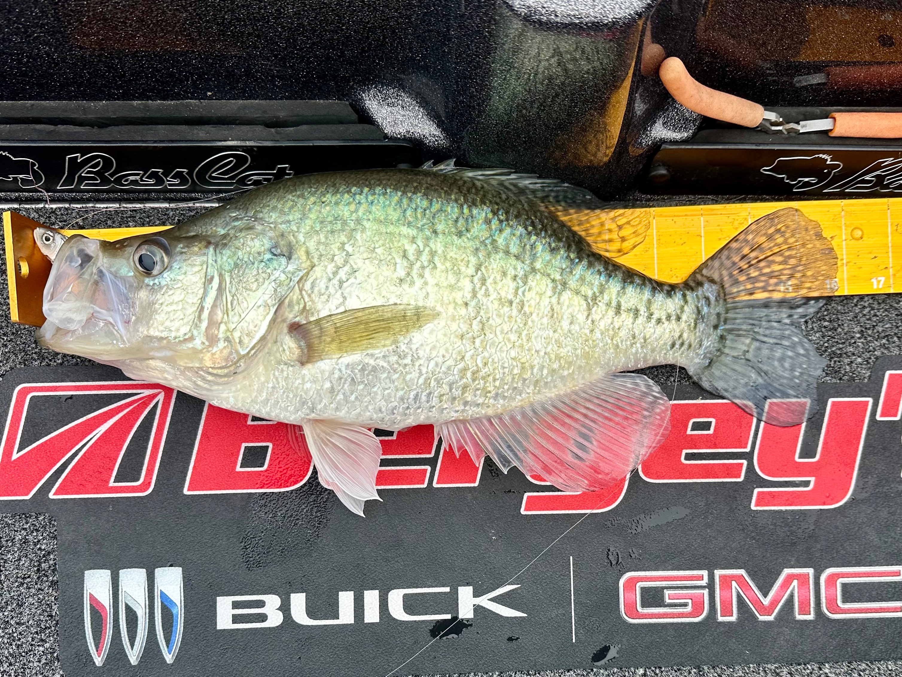 Grae Buck fishing report for Sam Rayburn Reservoir in Texas