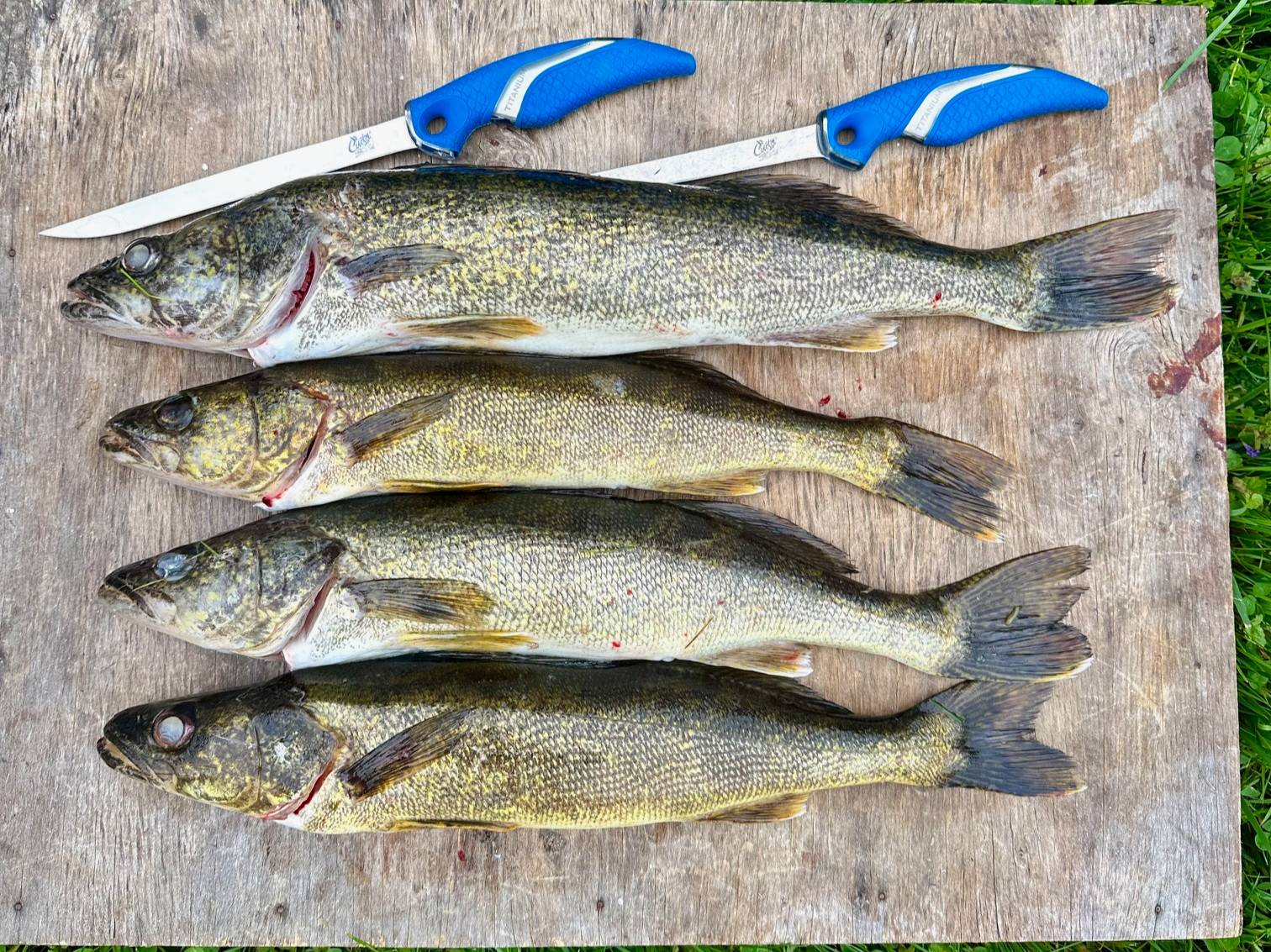 Grae Buck fishing report for Oneida Lake in New York