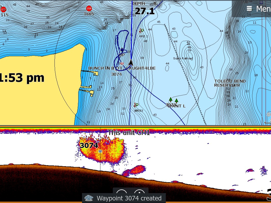 Grae Buck fishing report for Toledo Bend Reservoir in Texas