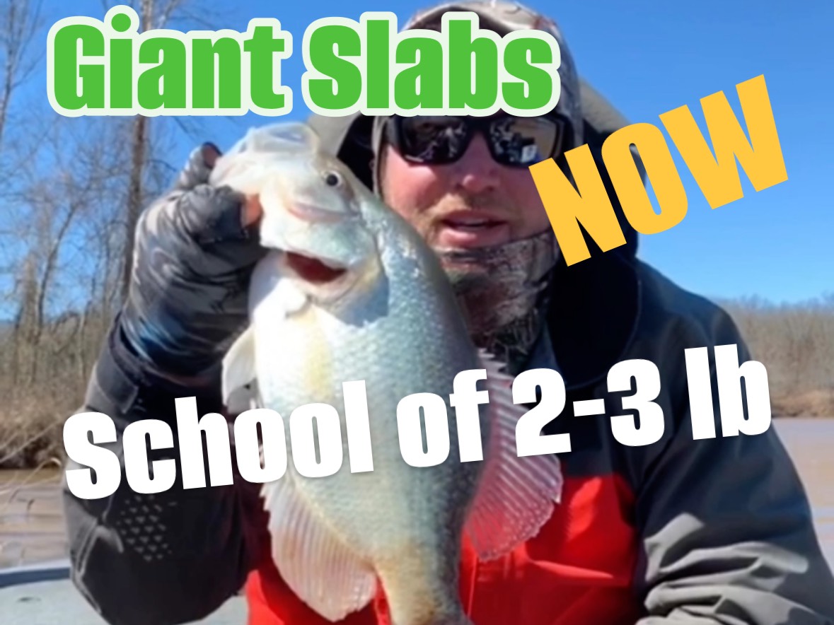 John Soukup fishing report for Logan Martin Lake in Alabama