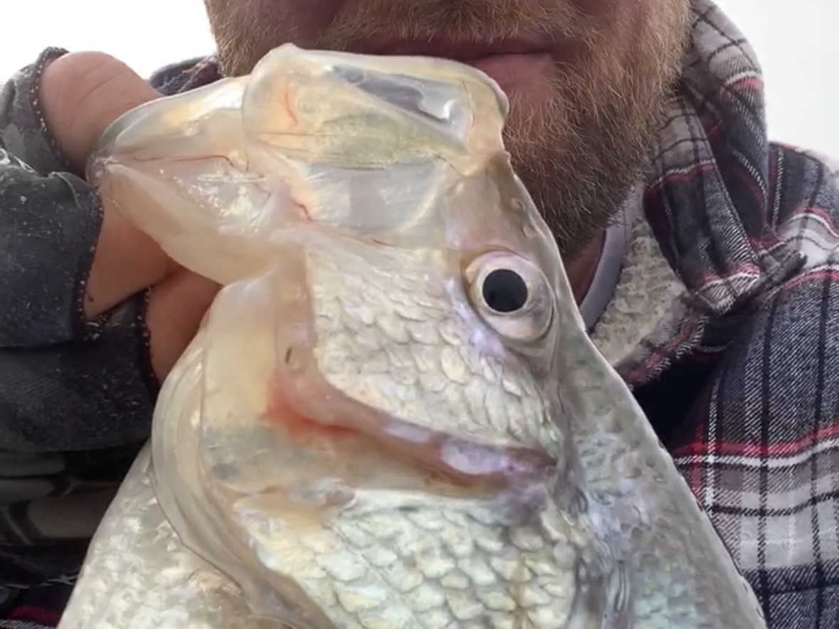John Soukup fishing report for Oologah Lake in Oklahoma