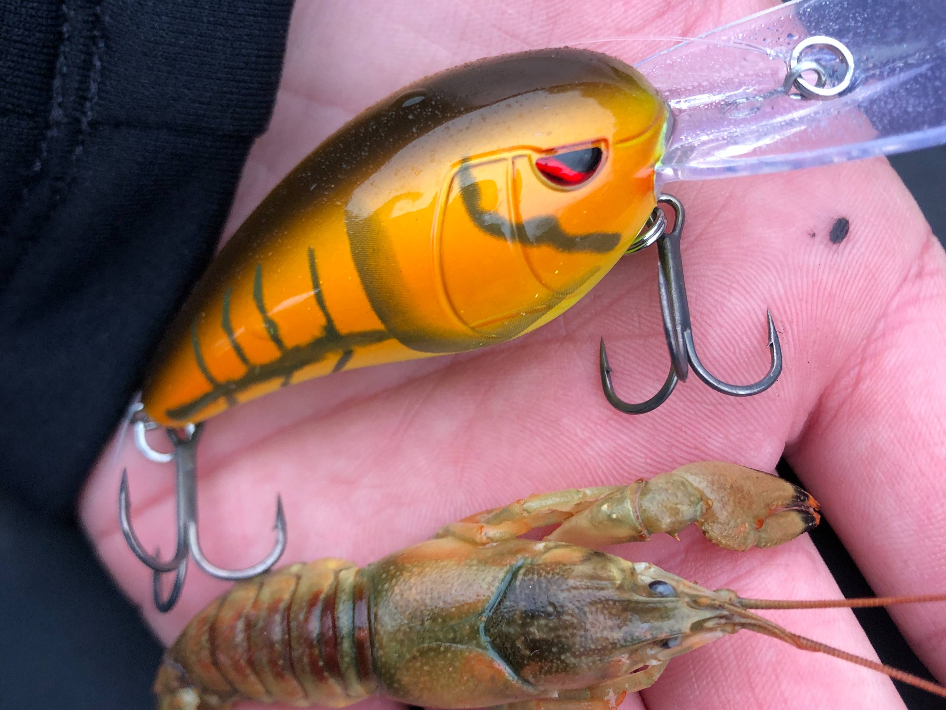 Brooks Anderson fishing report for Lake Lanier in Georgia