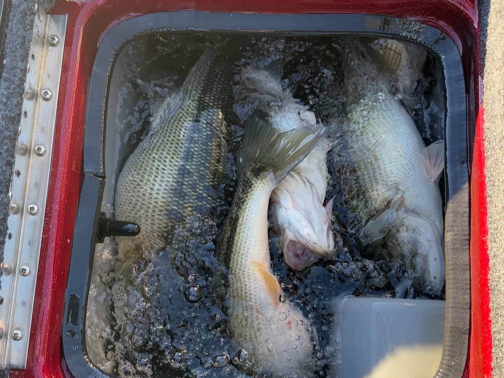 Brooks Anderson fishing report for Lake Lanier in Georgia