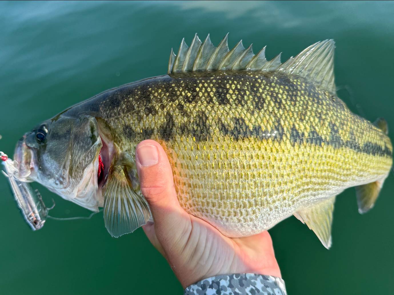 Brooks Anderson fishing report for Lake Lanier in Georgia