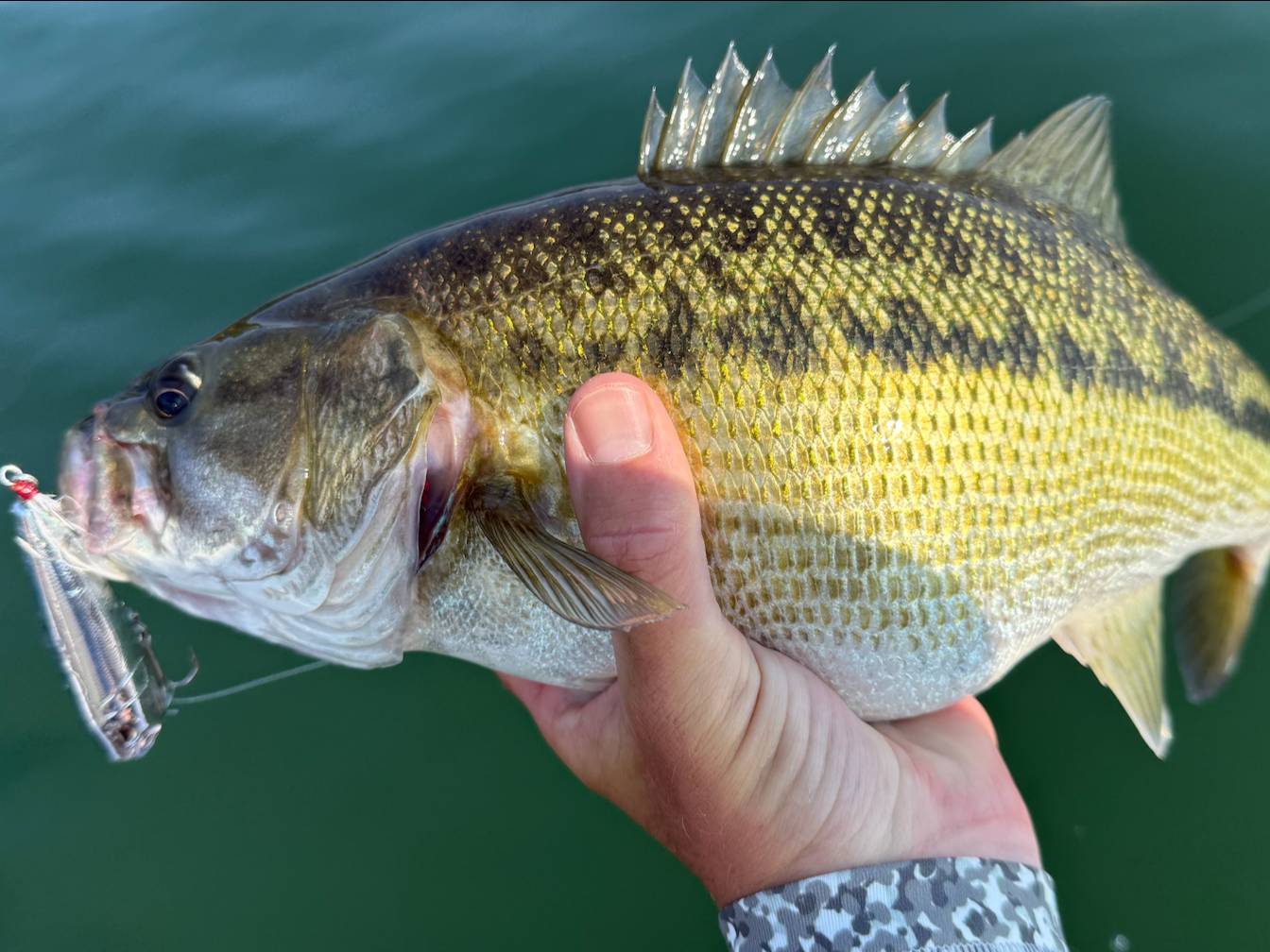 Brooks Anderson fishing report for Lake Allatoona in Georgia