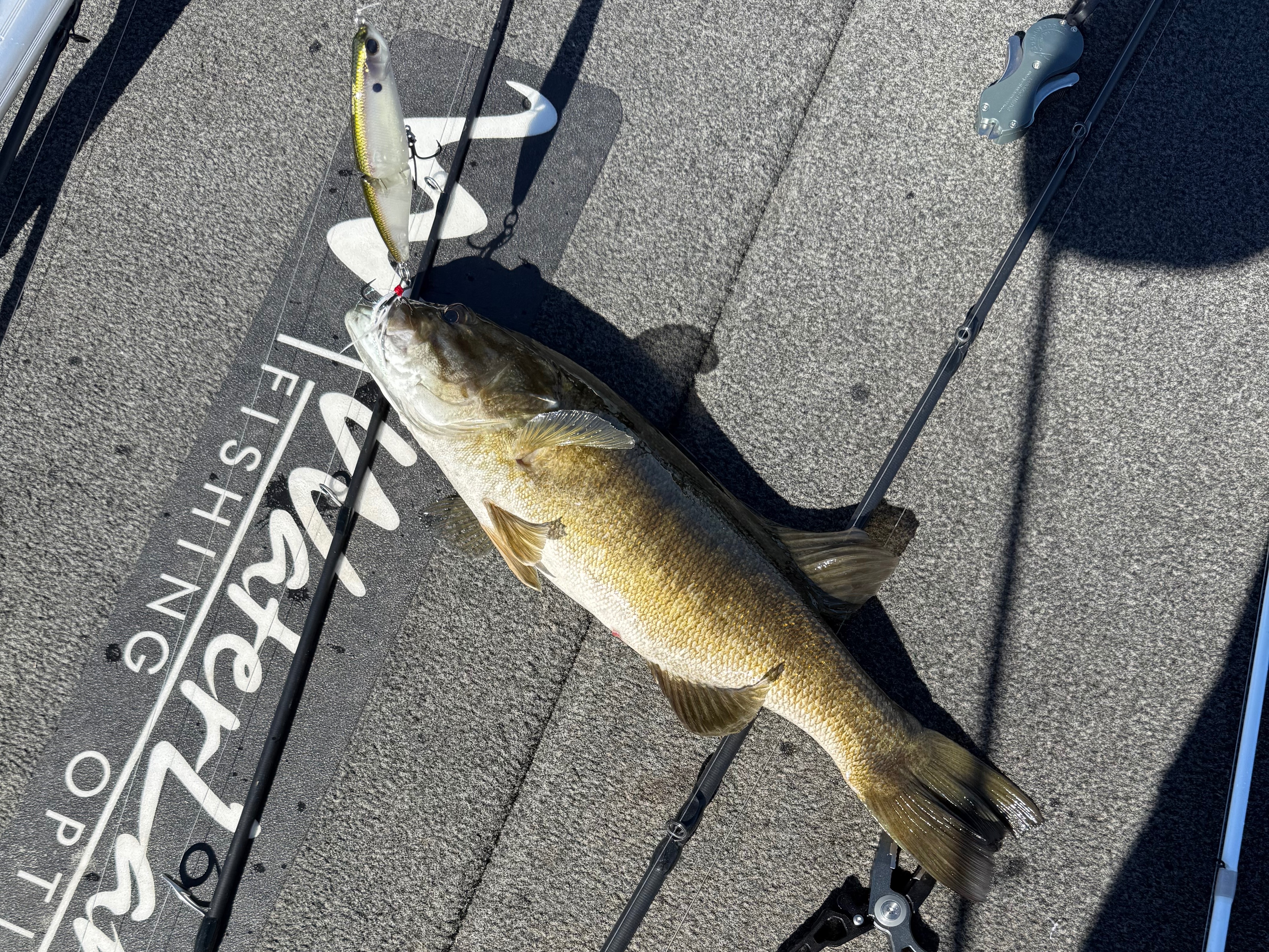 Zac Horton fishing report for Lake of the Arbuckles in Oklahoma