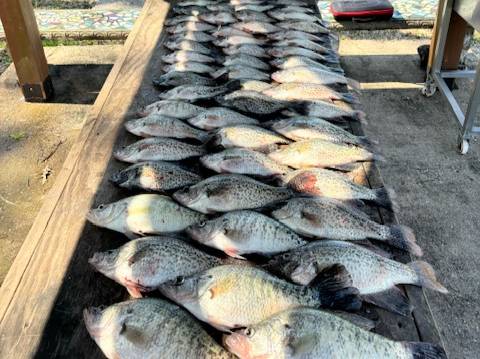 Blake Oestreich fishing report for Sam Rayburn Reservoir in Texas
