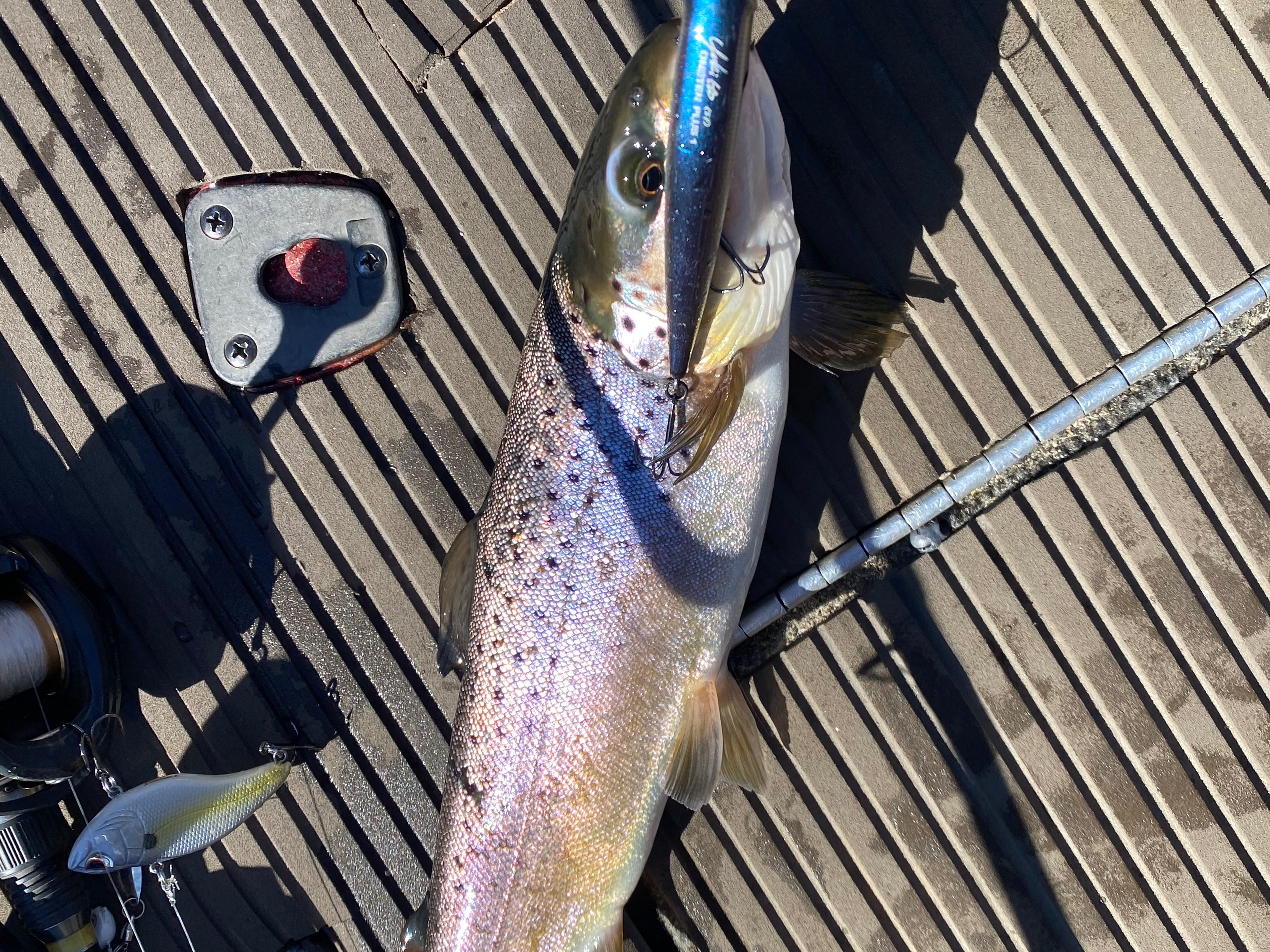 Michael Resor fishing report for Bear Creek Lake in North Carolina