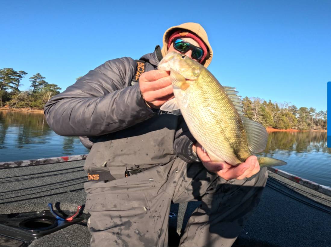 Jonathan Dietz fishing report for Clarks Hill in South Carolina