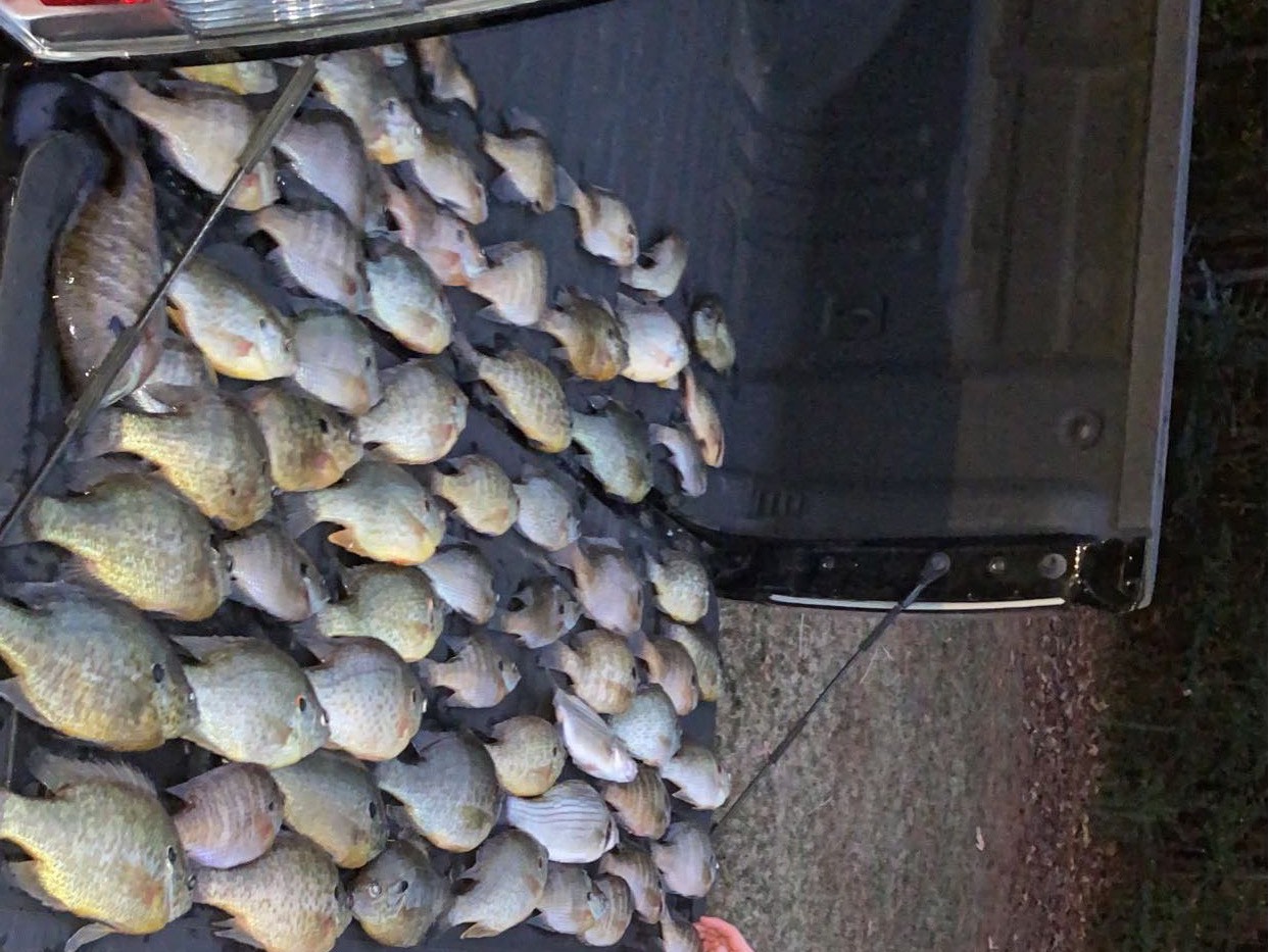 Jackson Holbert fishing report for Kentucky Lake in undefined