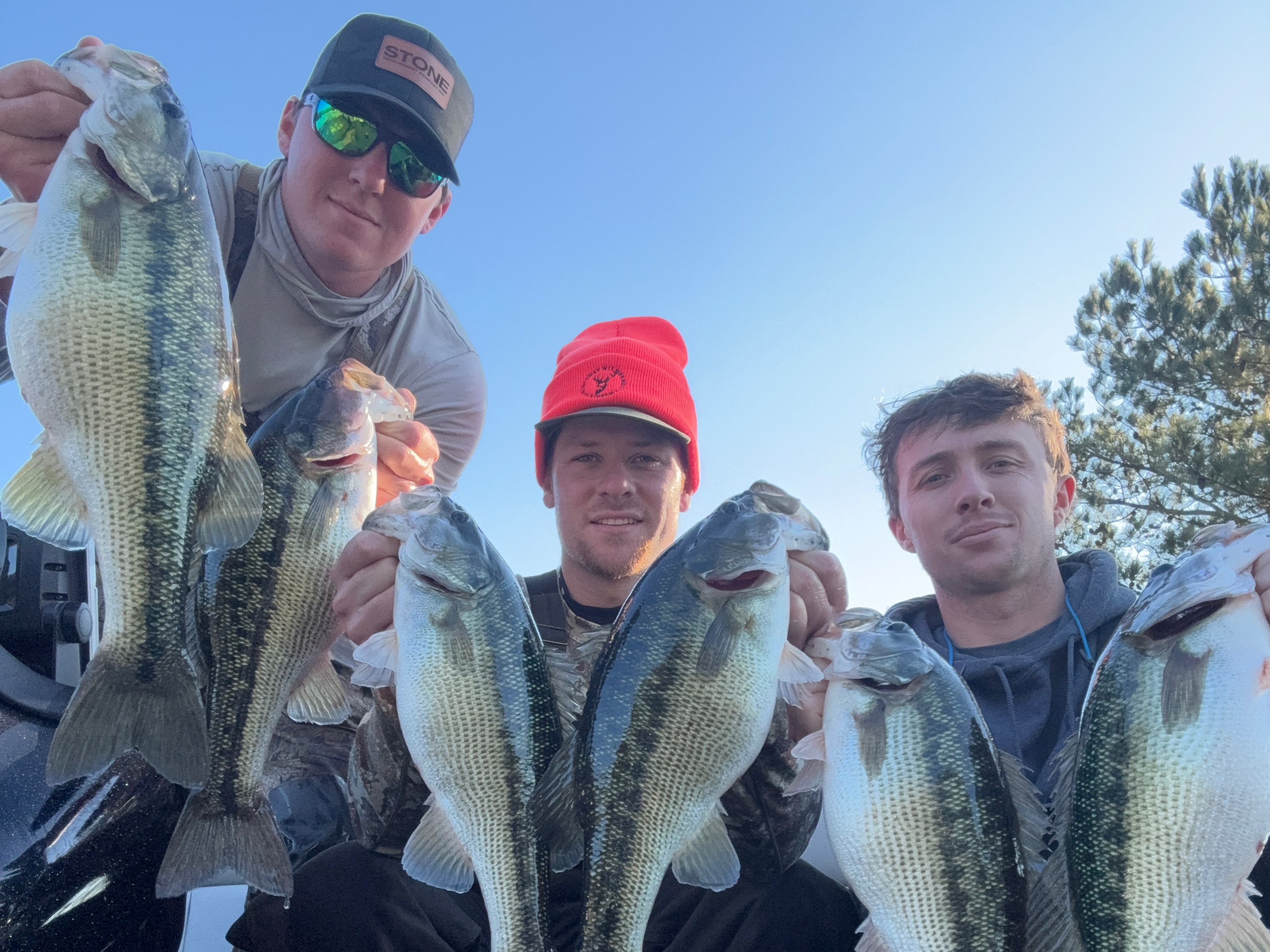 WESLEY Wilson fishing report for Lake Lanier in Georgia