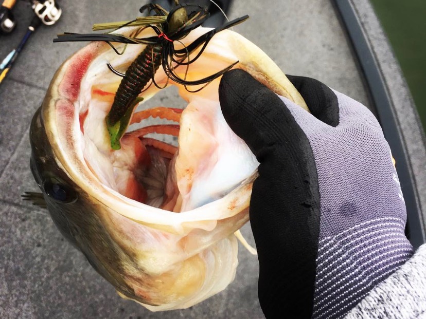 Jeremiah Eads fishing report for Big Barbee Lake in Indiana