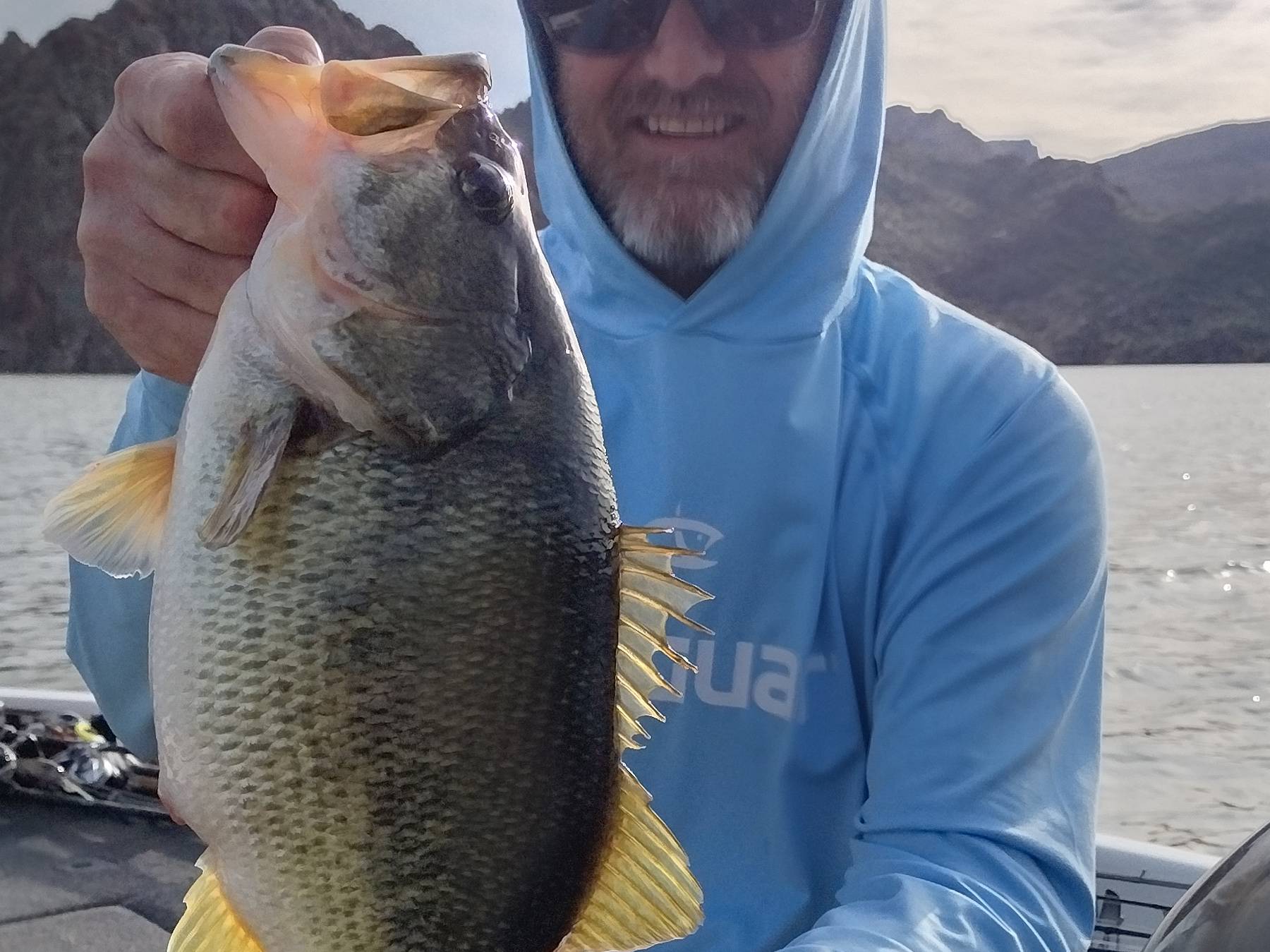 Justin Seay fishing report for Saguaro Lake in Arizona