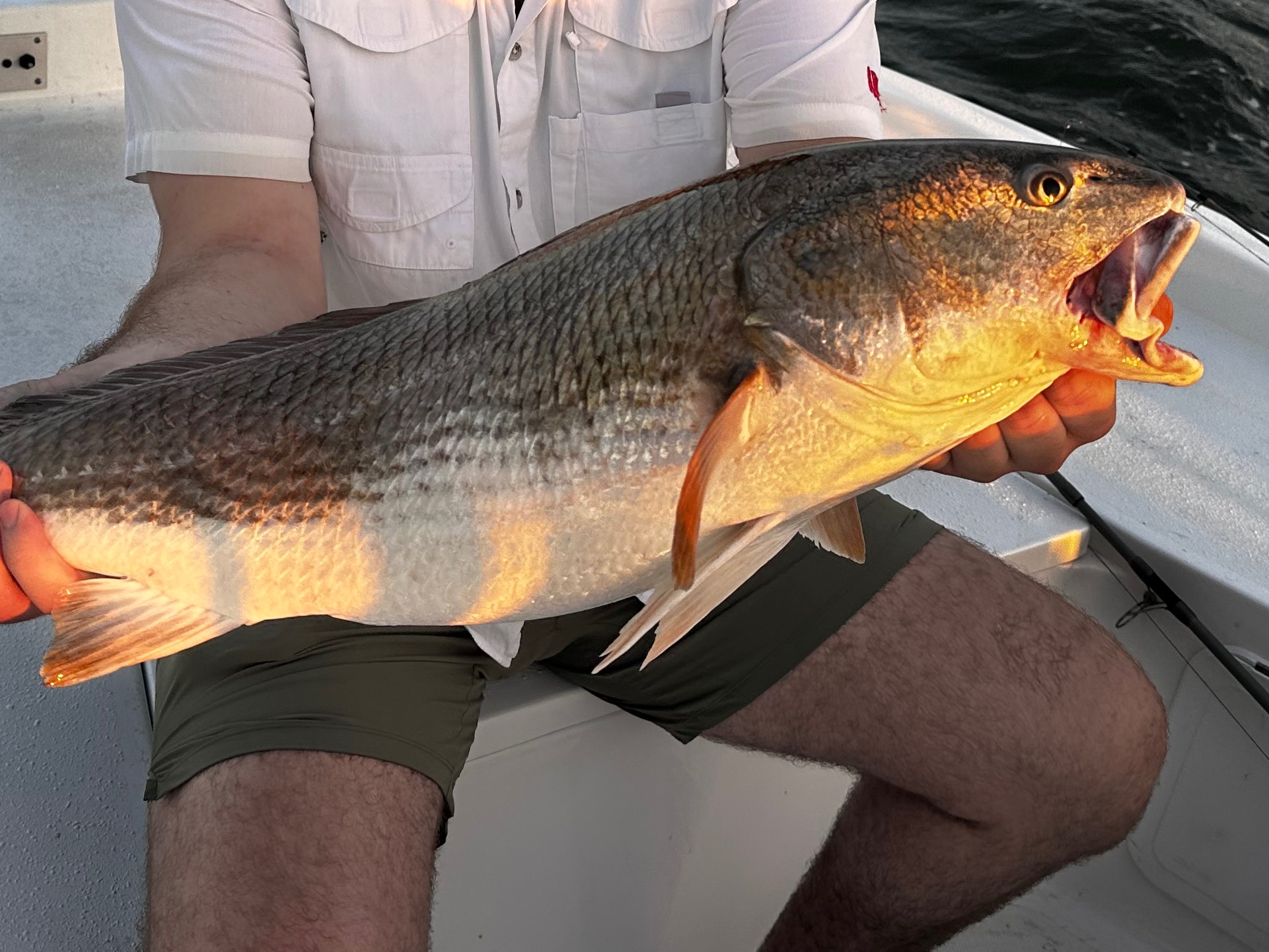 Whit Edmonds fishing report for Charleston in South Carolina