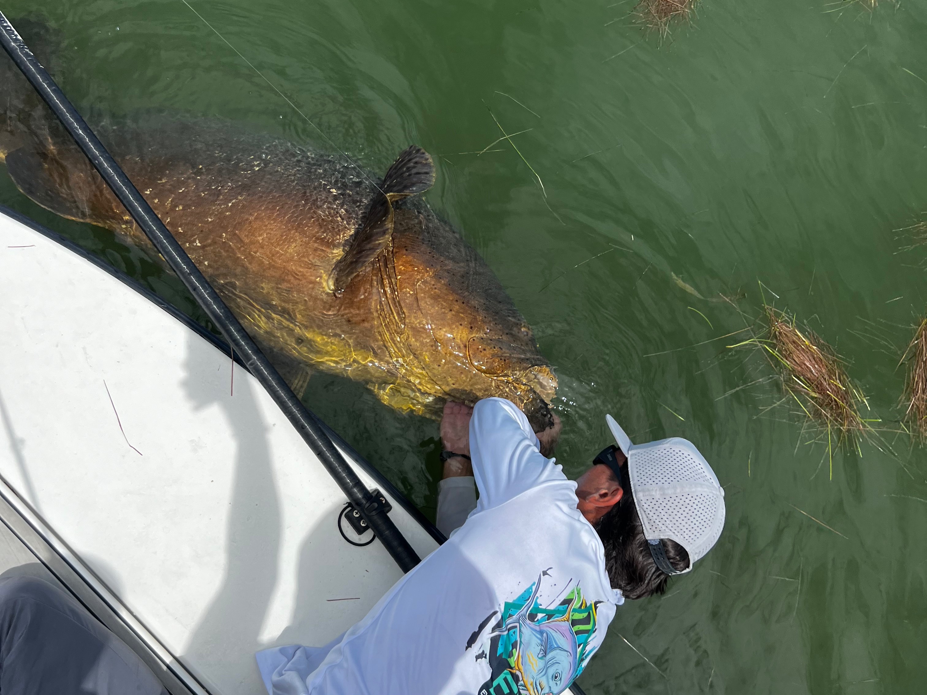 George Alexander fishing report for Everglades in Florida