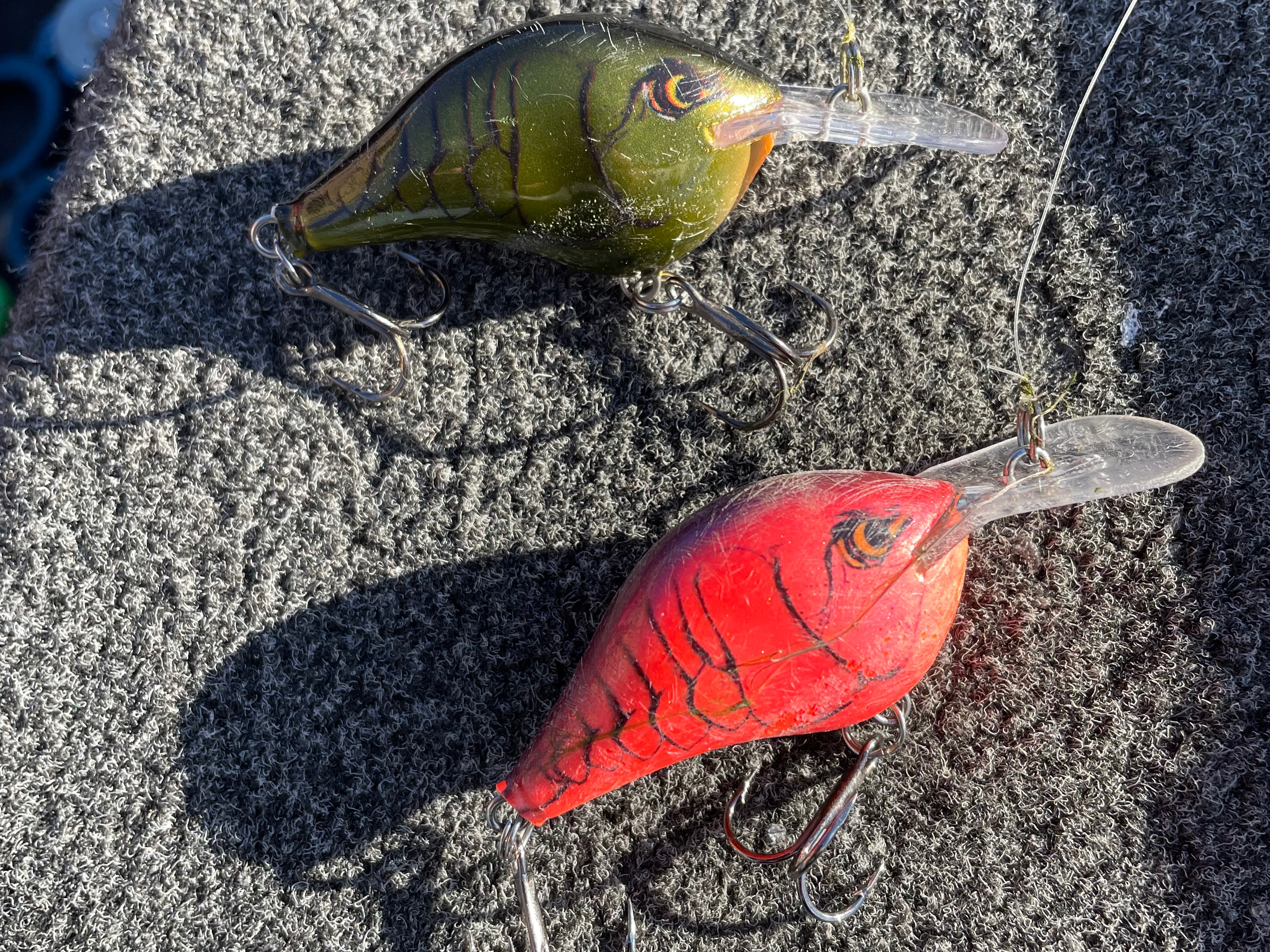 Wyatt Pearman fishing report for Lake Cumberland in Kentucky