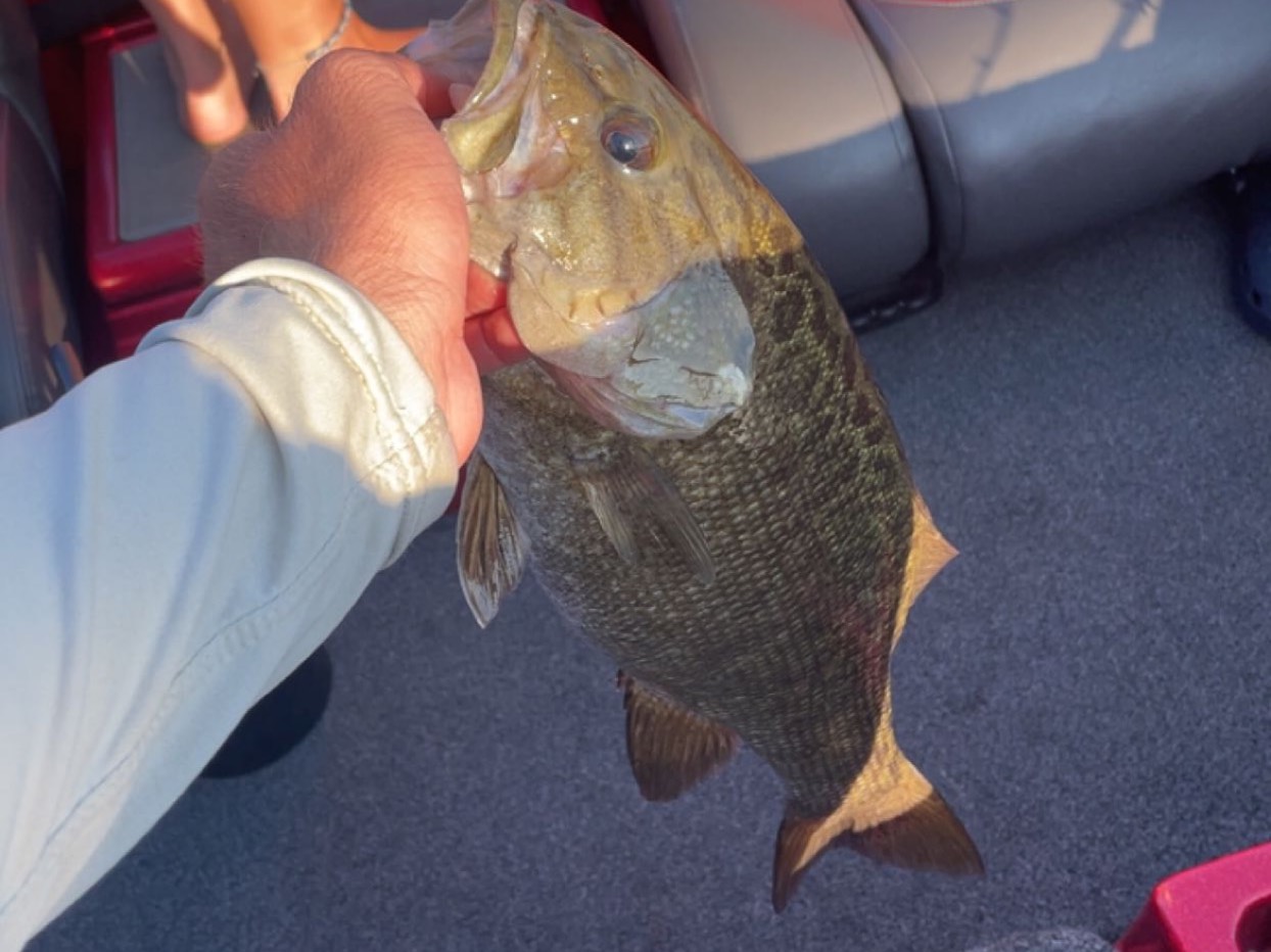 Wyatt Pearman fishing report for Lake Cumberland in Kentucky