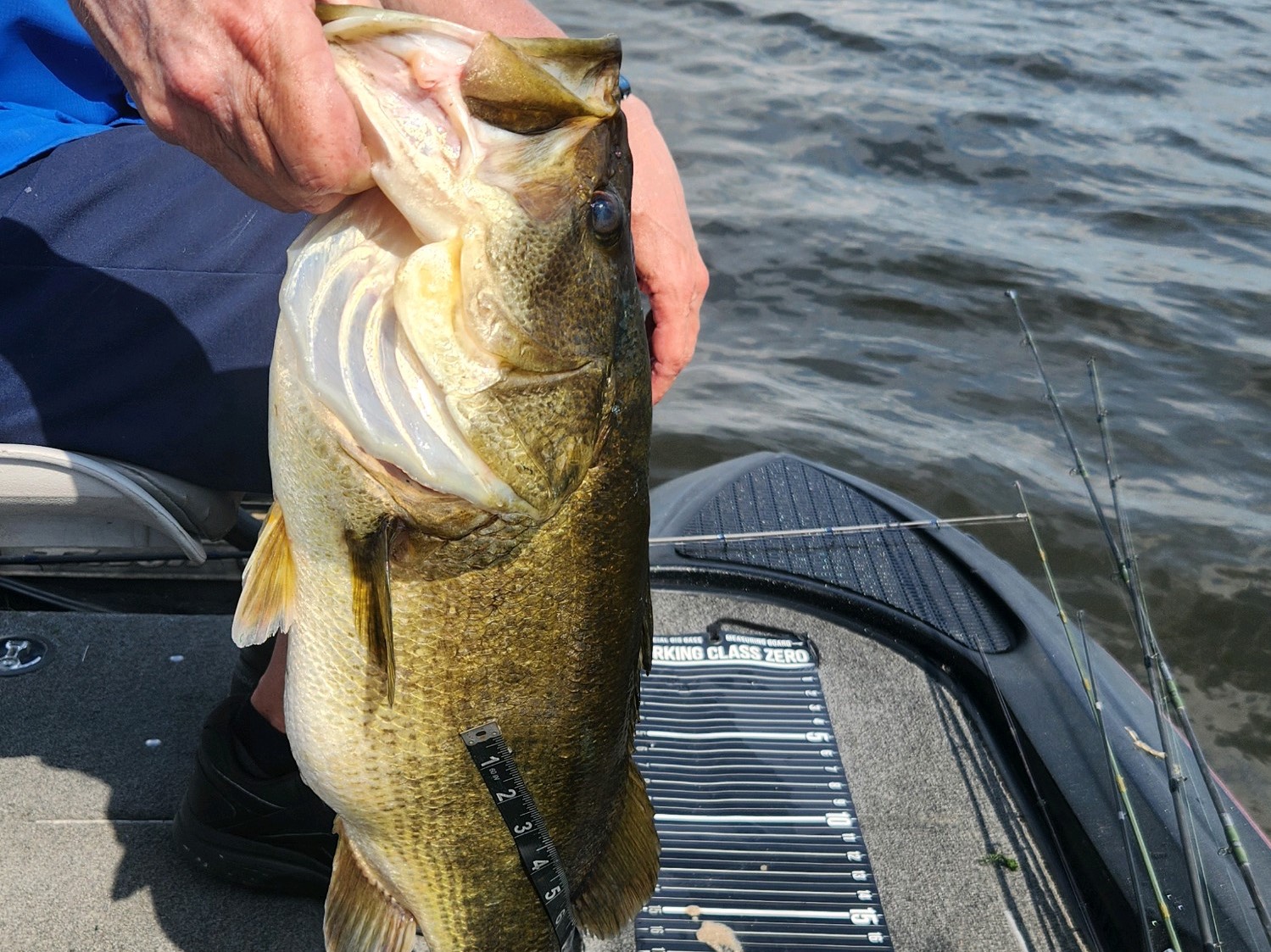 Chris Heron fishing report for Orange Lake in Florida