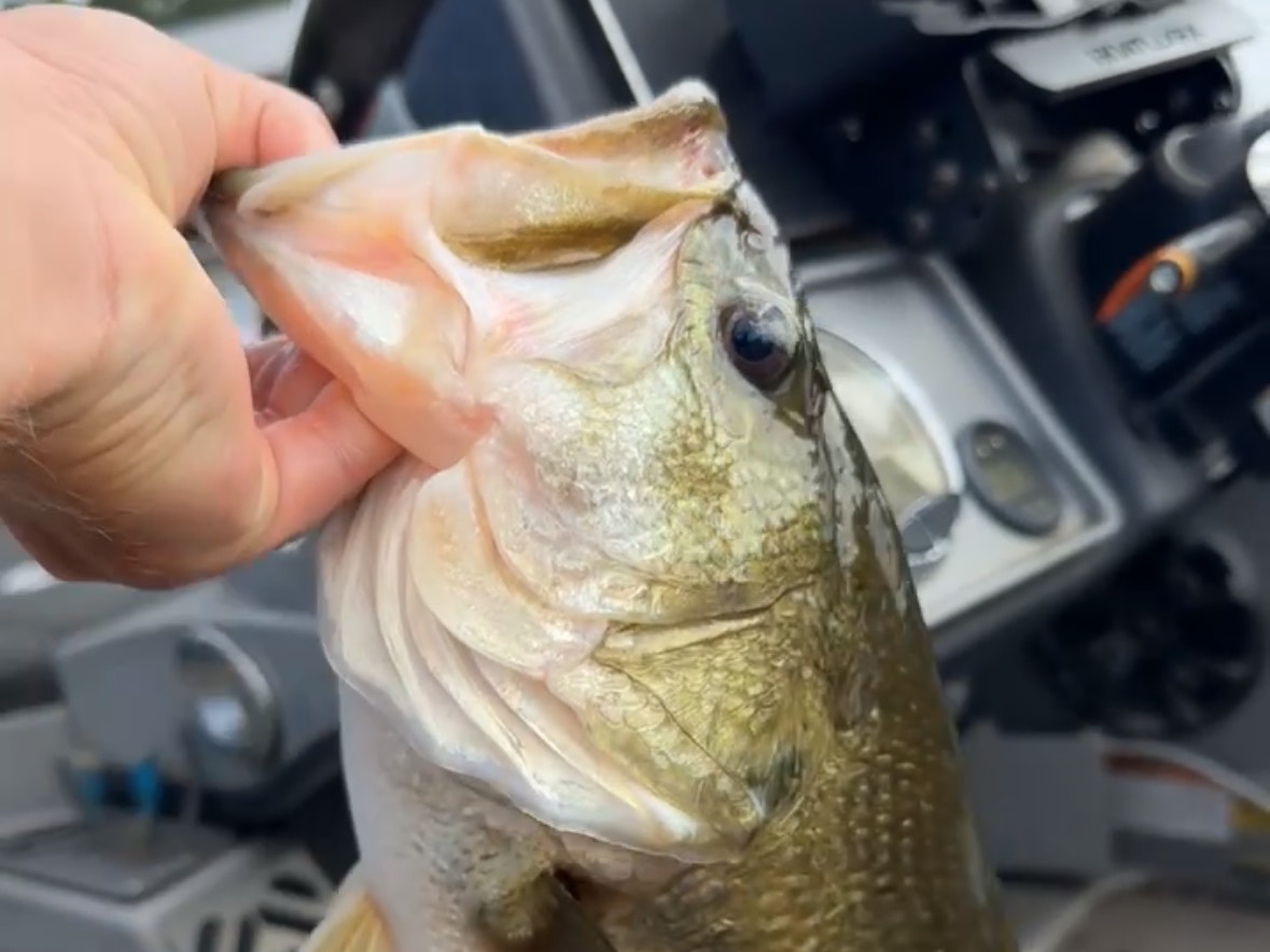 Jon Foster fishing report for Lake Norman in North Carolina