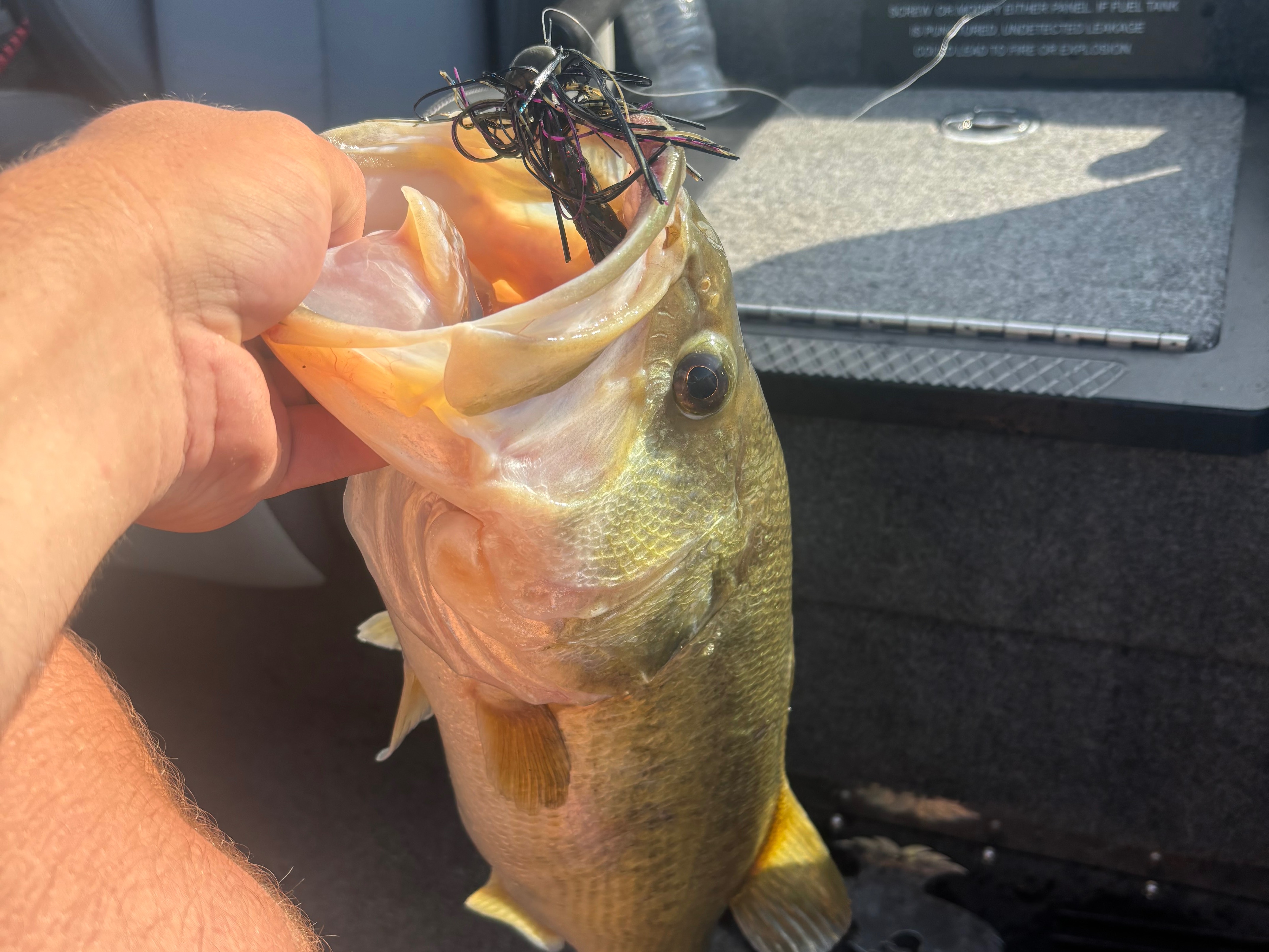 Cooper Lively fishing report for Guntersville Lake in Alabama