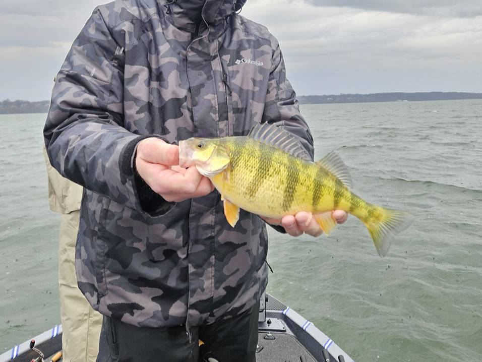 Destin DeMarion fishing report for Presque Isle Bay in Pennsylvania
