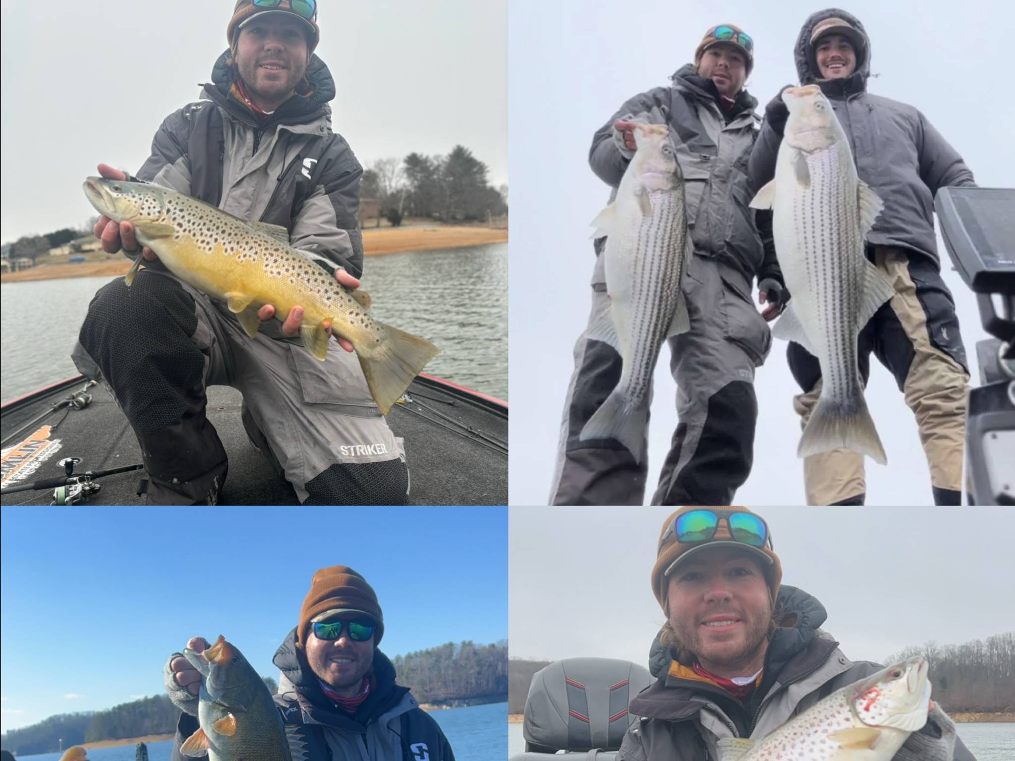 Cole Sands fishing report for Boone Lake in Tennessee