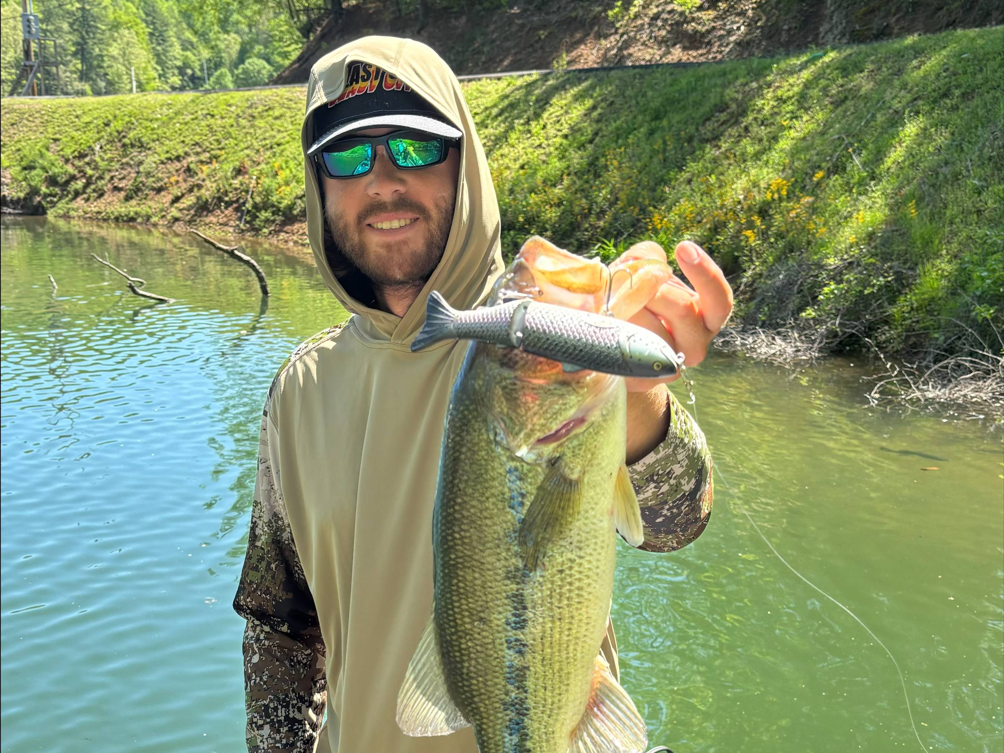 Cole Sands fishing report for Watauga Lake in Tennessee