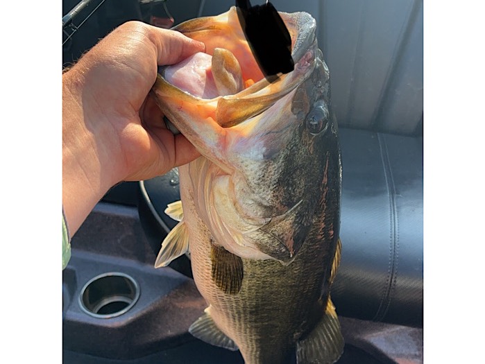Cody Ross fishing report for Texas