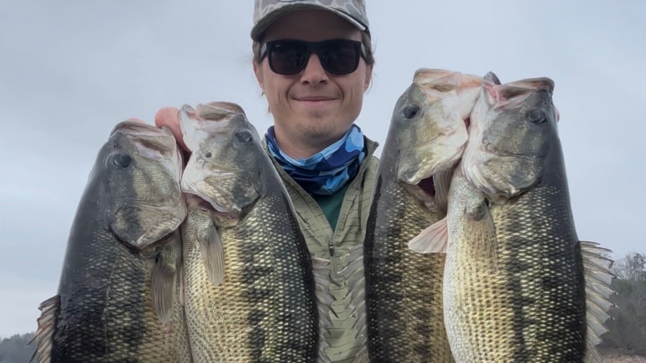 Lake Allatoona biweekly reports.