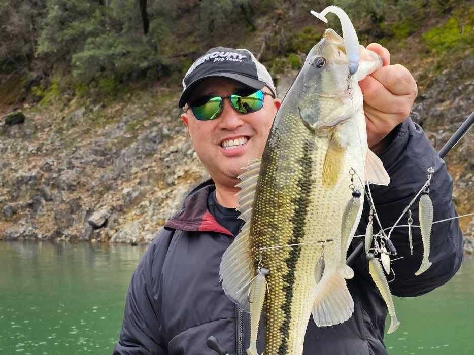 Ken Mah fishing report for Shasta Lake in California