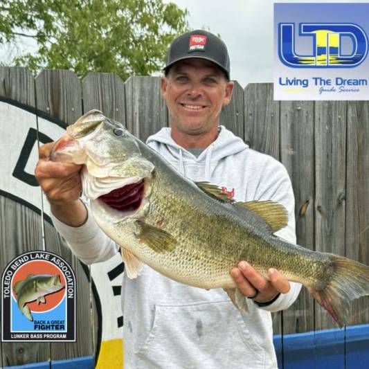 Todd Castledine