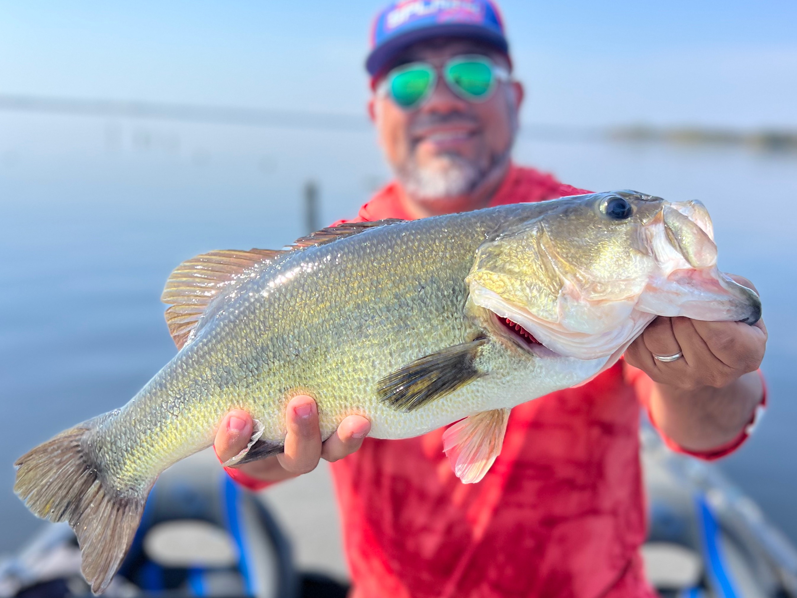 Jack York fishing report for Lake Fork in Texas