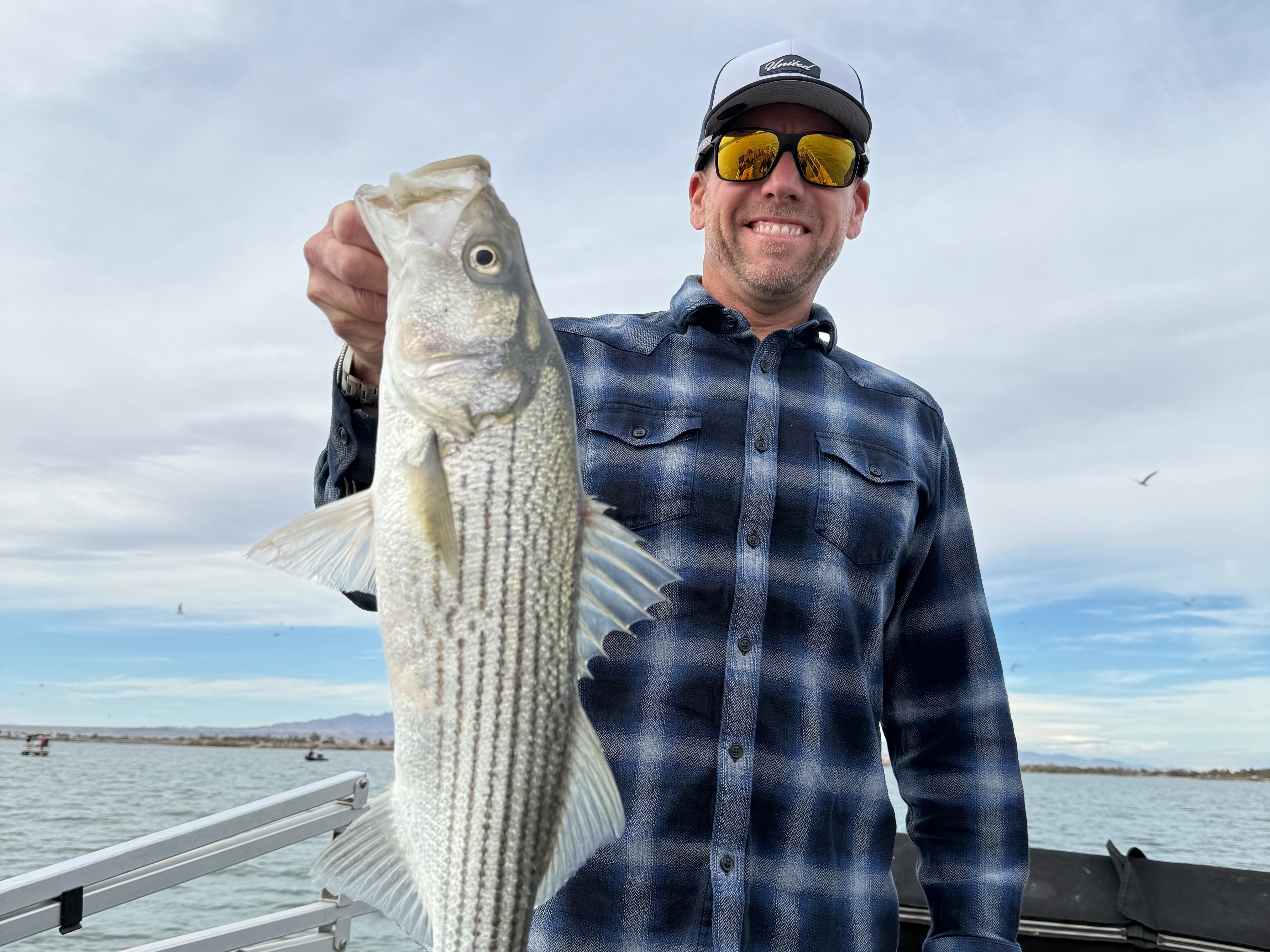 Nick Young fishing report for Lake Havasu City in Arizona