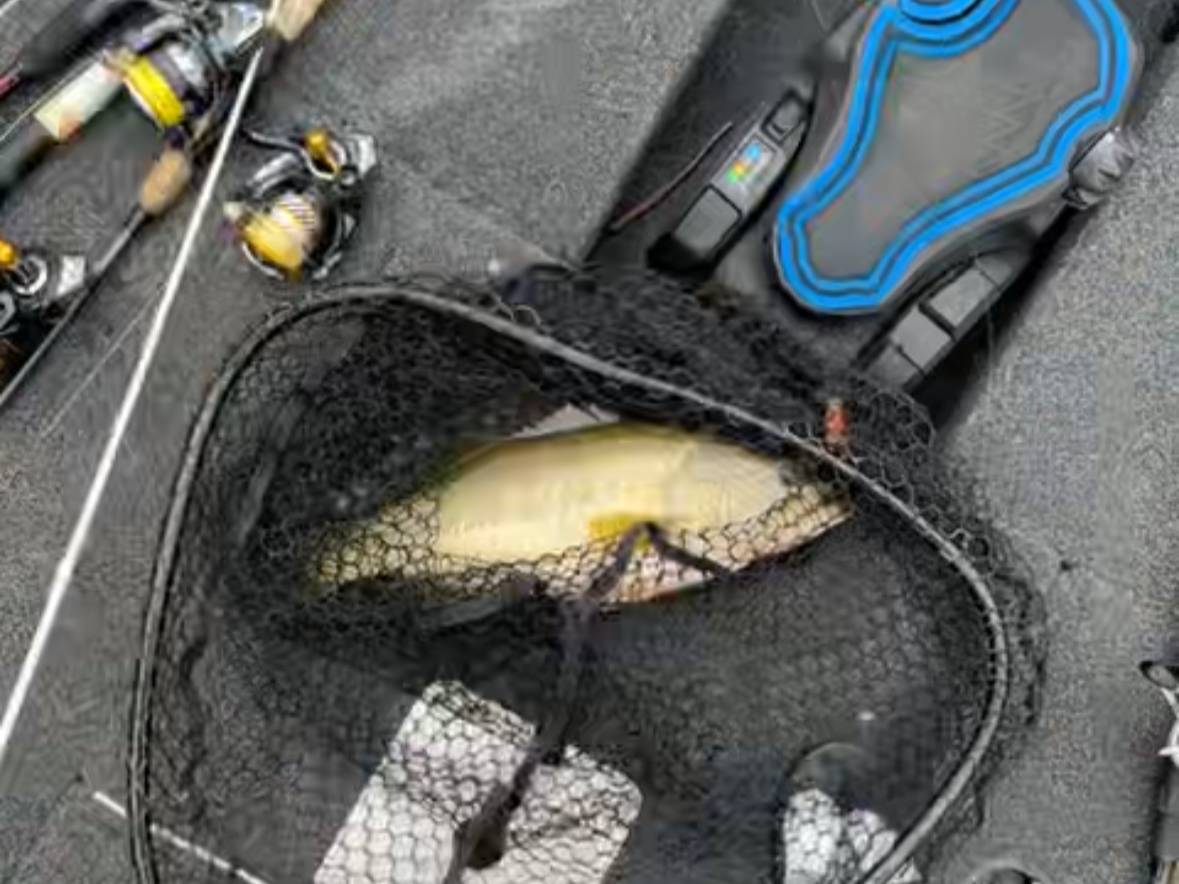 David Ryan fishing report for Lake Santeetlah in North Carolina