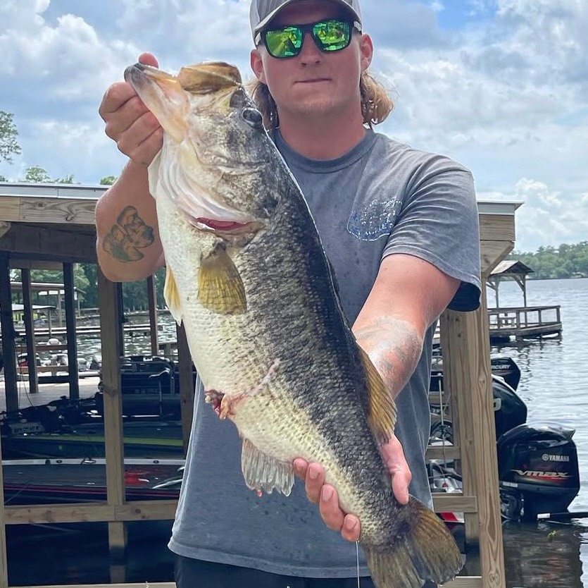 Dawson Wisner