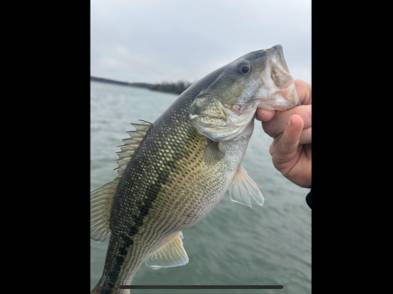 Colt  Parker fishing report for Lake Russell in Georgia